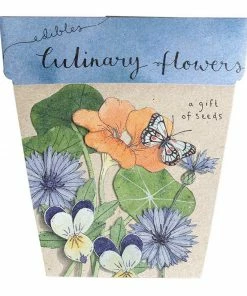 Flow Yoga Wear ❅ WINTER SALE ❅ Gift Of Seed Cards