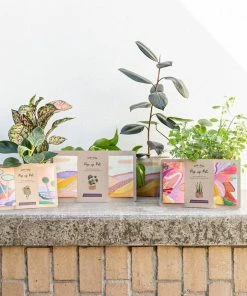 Flow Yoga Wear Pop Up Pot Set ACCESSORIES & GIFTS