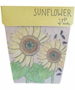 Flow Yoga Wear ❅ WINTER SALE ❅ Gift Of Seed Cards