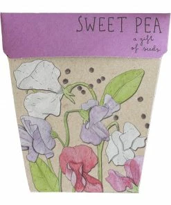 Flow Yoga Wear ❅ WINTER SALE ❅ Gift Of Seed Cards