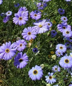 Flow Yoga Wear Seeded Greeting Card 15 Flow Yoga Wear Seeded Greeting Card