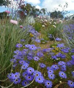 Flow Yoga Wear Seeded Greeting Card